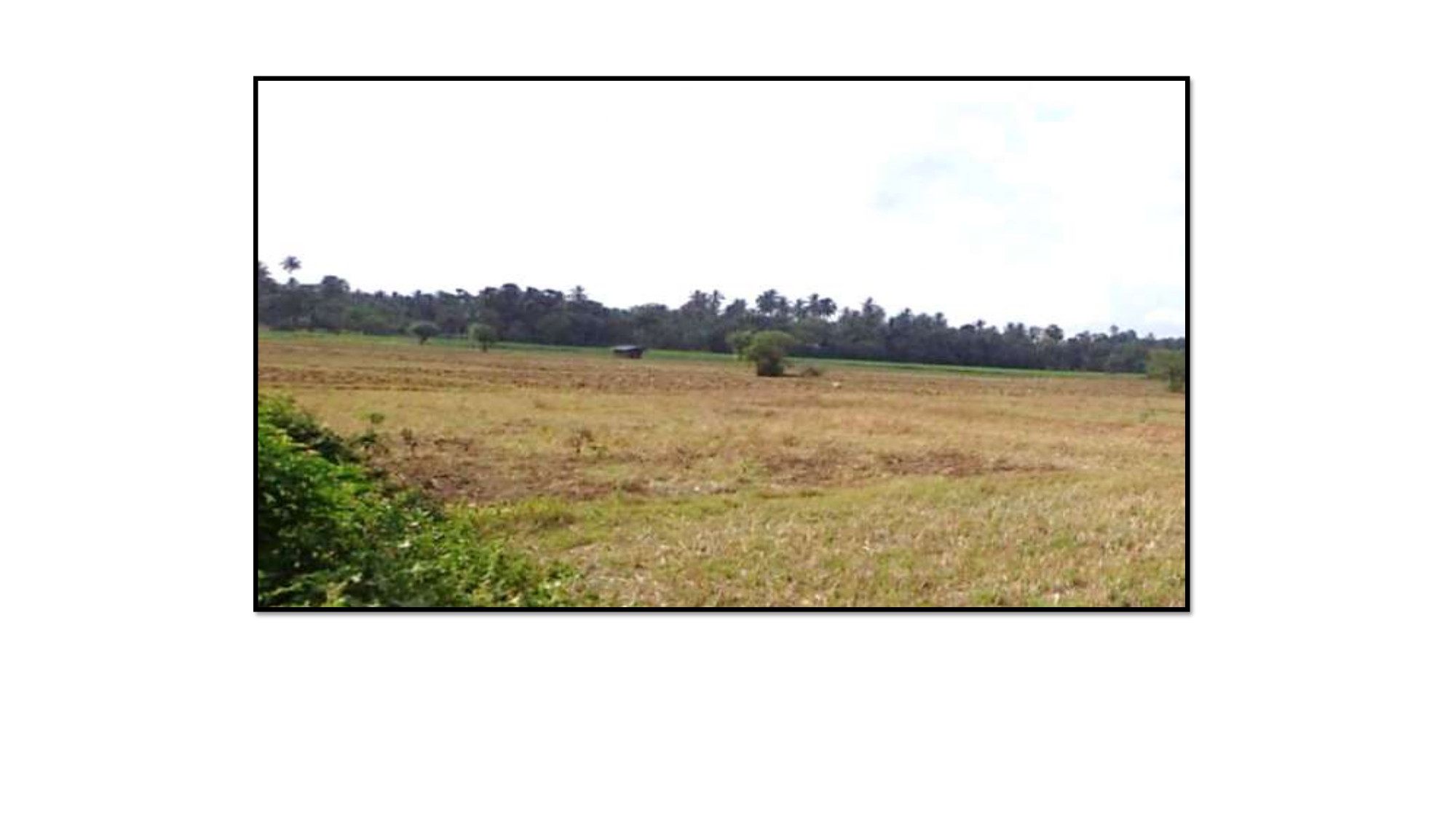 76